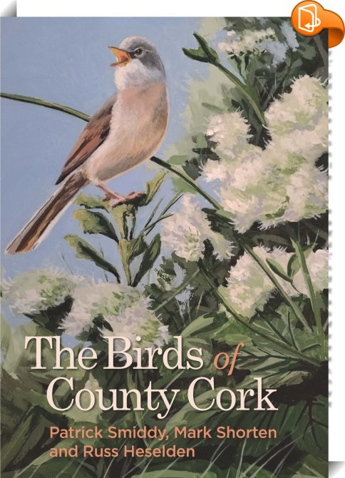 Birds of Duhallow