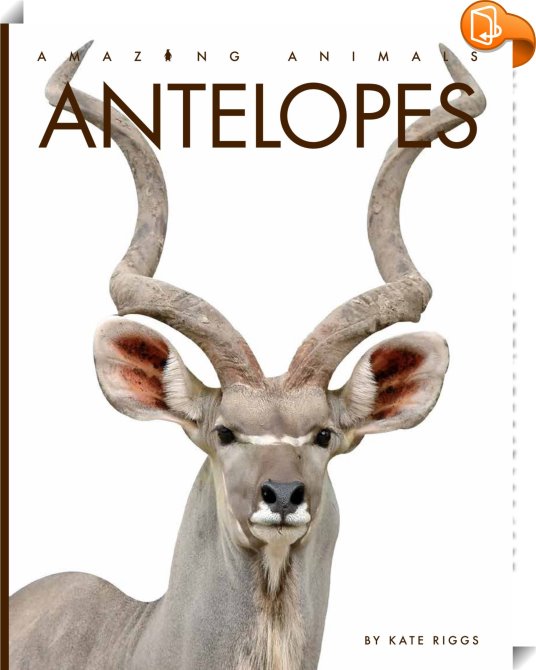 Antelopes : Kate Riggs - Book2look